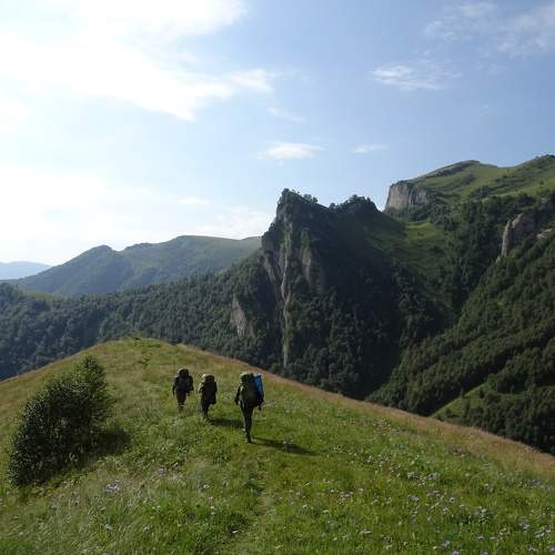 Photo #5874525