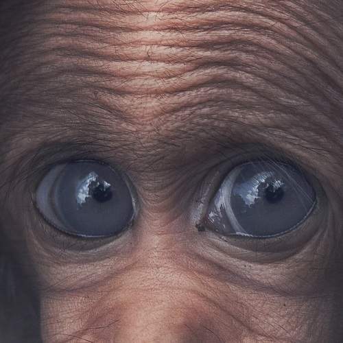 Photo #5874690
