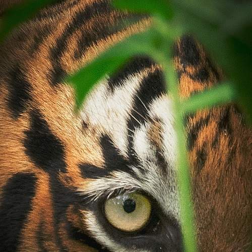 Photo #5874703