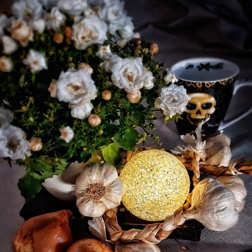 Photo #5874710