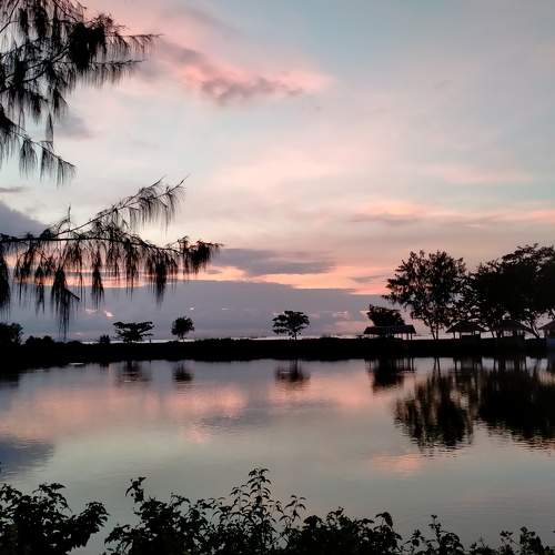 Photo #5874757
