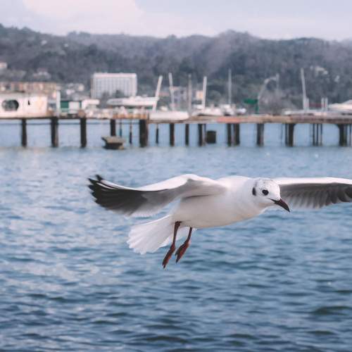 Photo #5874790