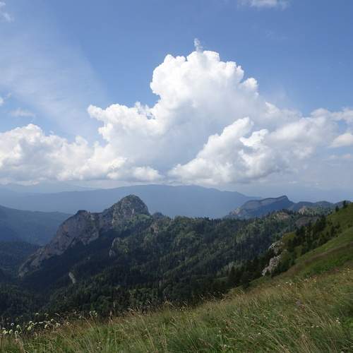 Photo #5874821