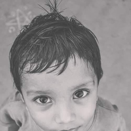 Photo #5874985