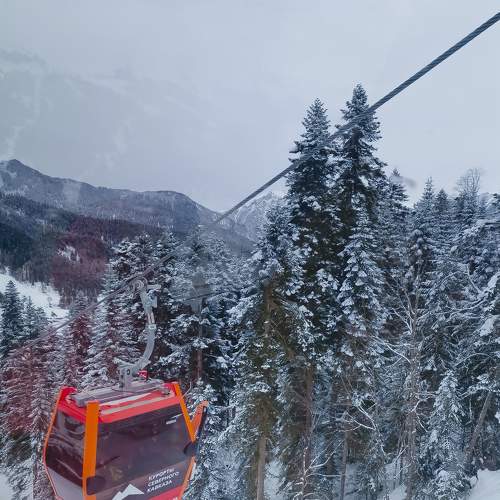 Photo #5875024