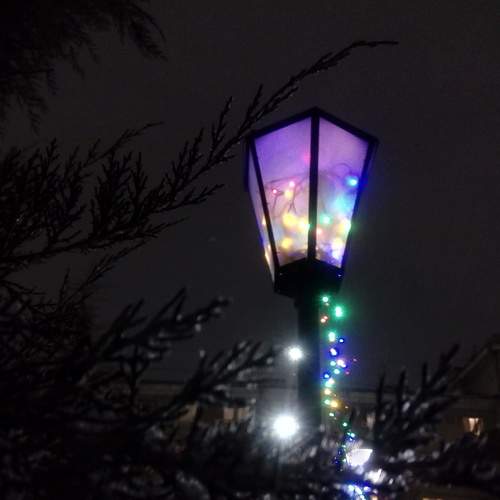Photo #5875223