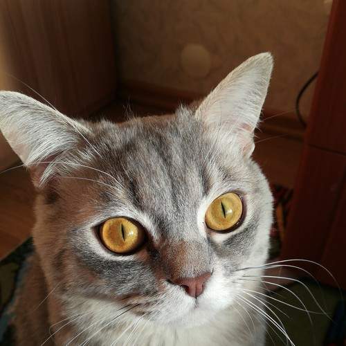 Photo #5875362