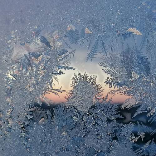 Photo #5875436