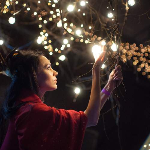 Photo #5875876