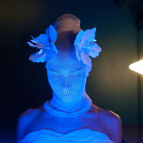 Photo #5875908