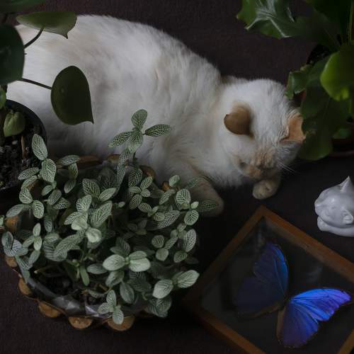 Photo #5876171