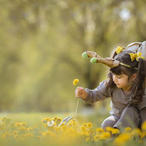 Photo #5876306