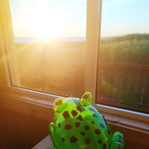 Photo #5876324
