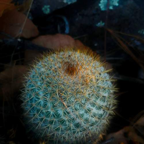 Photo #5876529
