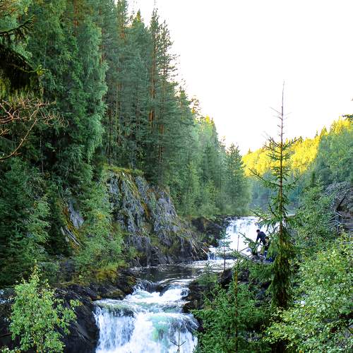 Photo #5876630