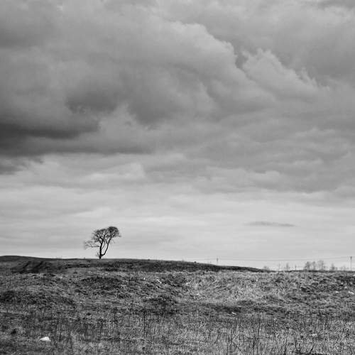 Photo #5876635