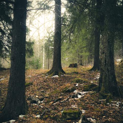 Photo #5876717