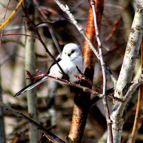 Photo #5877033