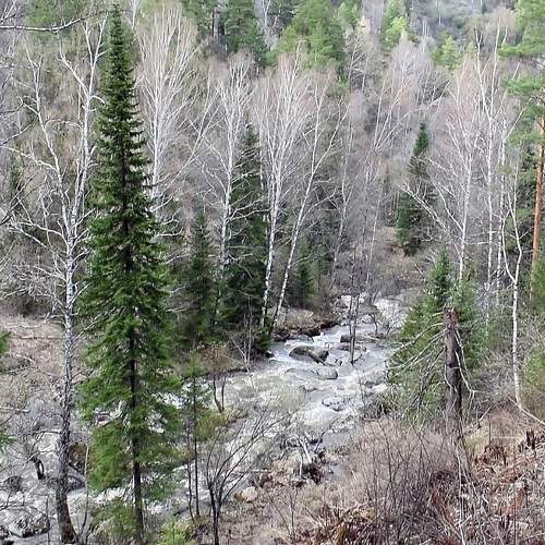 Photo #5877152