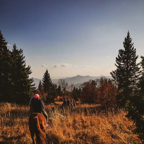 Photo #5877178