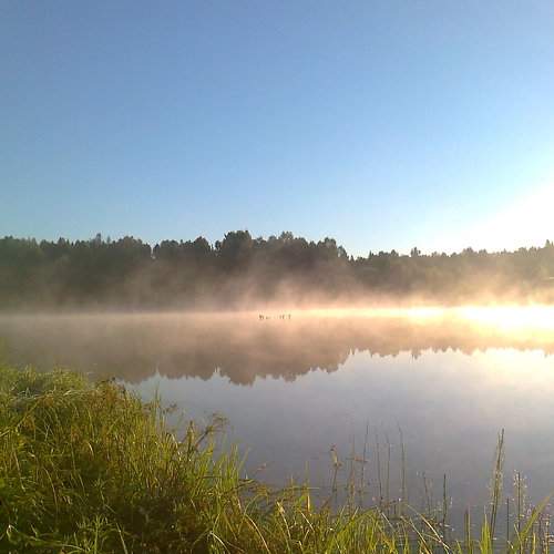 Photo #5877225