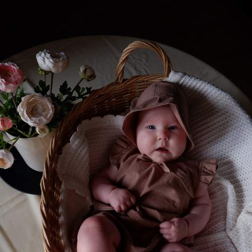Photo #5877314