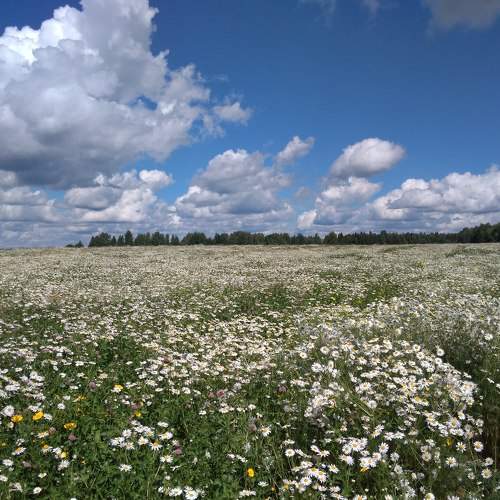 Photo #5877353