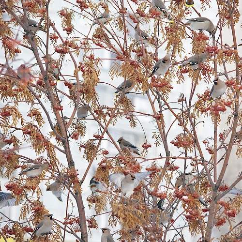 Photo #5877472