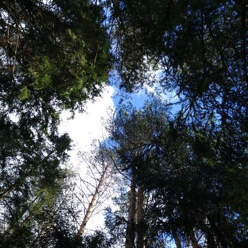 Photo #5877485