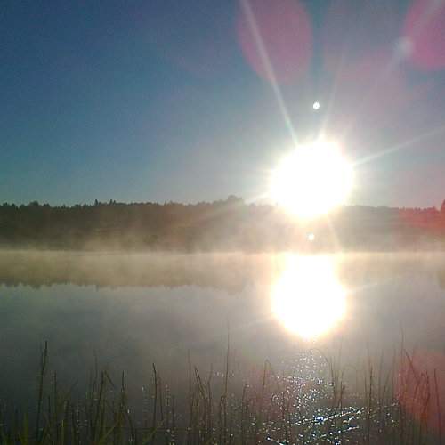 Photo #5877628