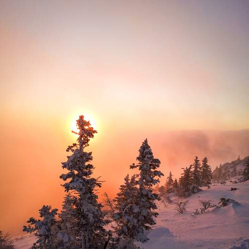 Photo #5877727