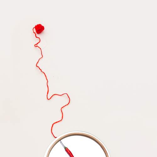 Photo #5877854