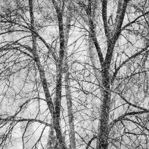 Photo #5878051