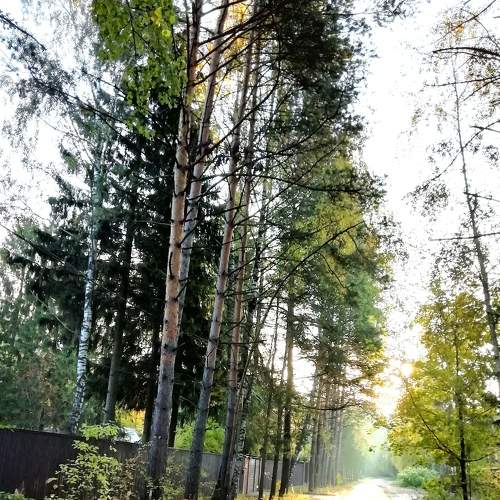 Photo #5878066