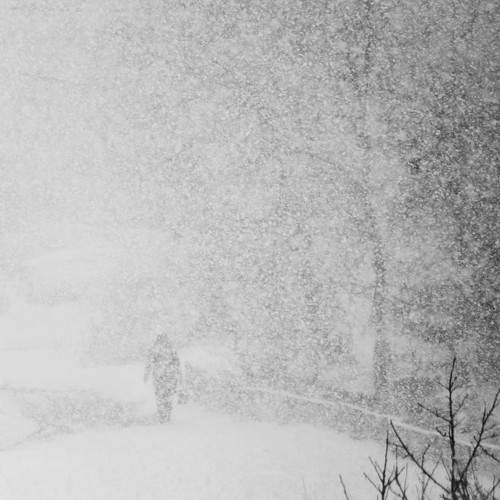 Photo #5878101