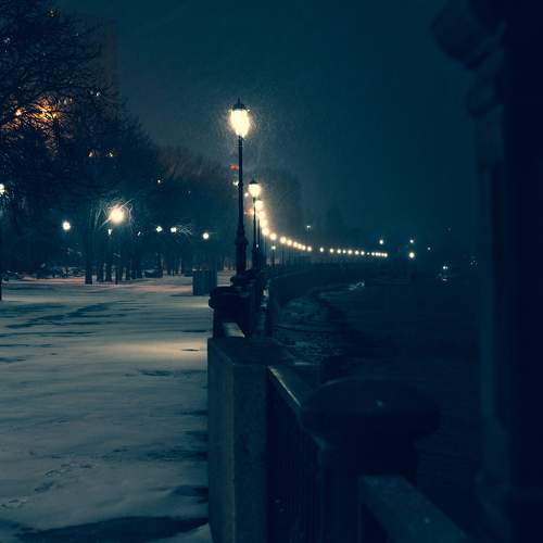 Photo #5878203