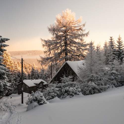 Photo #5878506