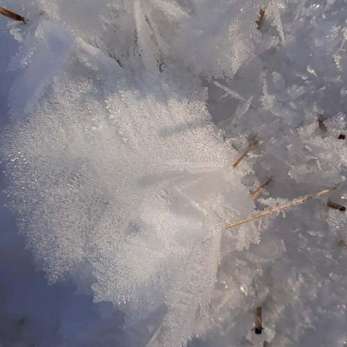 Photo #5878799