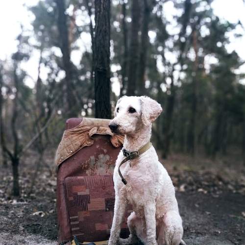 Photo #5878804