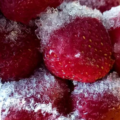 Photo #5878812