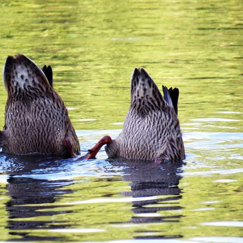 Photo #5878833