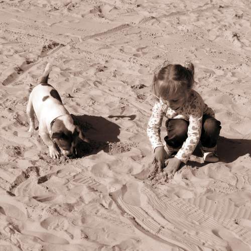 Photo #5878853