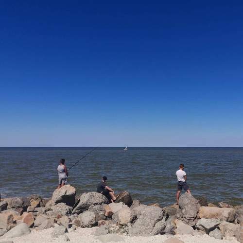 Photo #5878880