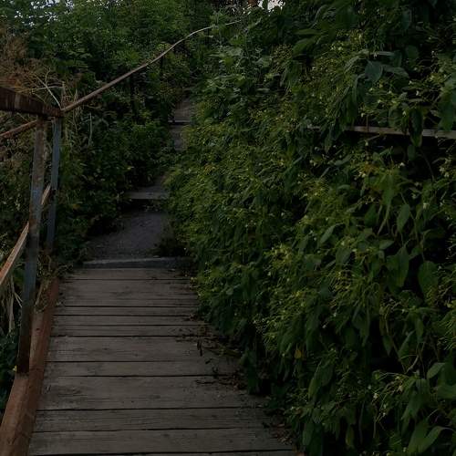Photo #5878919