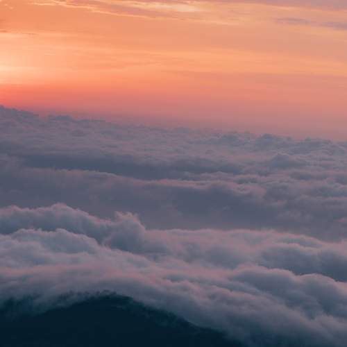 Photo #5879628