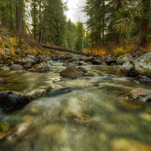 Фотография #5879695