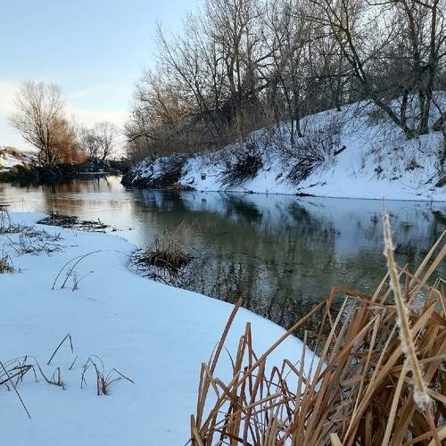 Photo #5879703