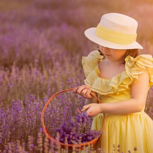 Photo #5879728