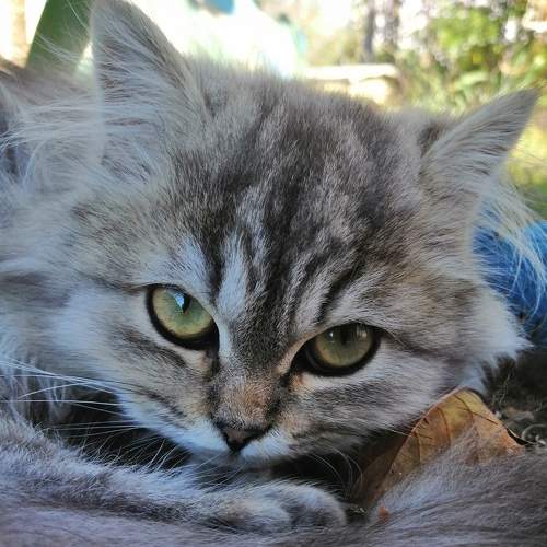 Photo #5880457