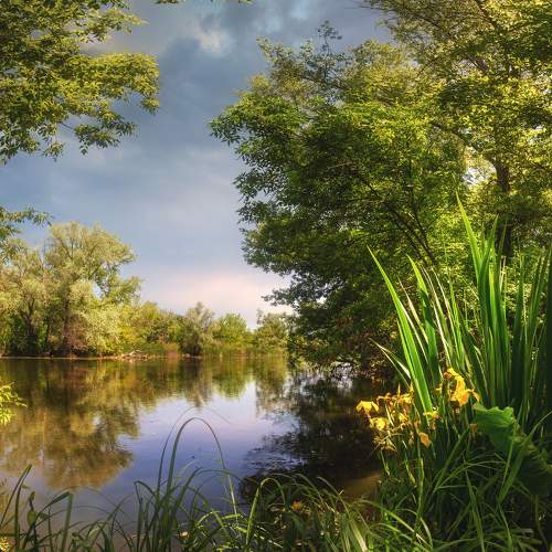 Photo #5880460